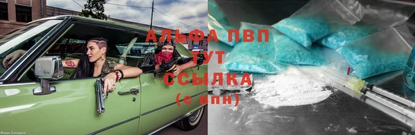 spice Алзамай
