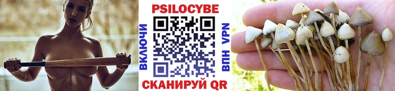 Галлюциногенные грибы мицелий  кракен ссылки  Усть-Илимск  где купить наркоту 